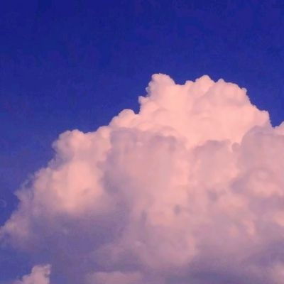 掌上蜗牛app下载