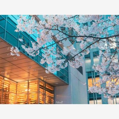神兽养成记之神兽来了官方版下载